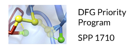Deutsche Forschungsgemeinschaft (DFG) - Priority Program SPP 1710 - Thiol Switches