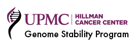 UPMC Hillman Cancer Center - Genome Stability Program (GSP)