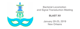 Molecular Biology Consortium - BLAST XV Meeting