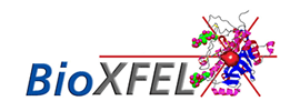 BioXFEL - NSF Science and Technology Center