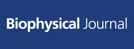 Biophysical Society - Biophysical Journal
