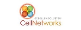 Heidelberg University - CellNetworks Excellence Cluster