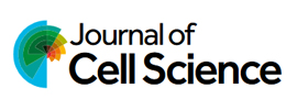 The Company of Biologists - Journal of Cell Science