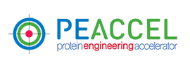 PEACCEL - Protein Engineering Accelerator