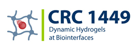 Collaborative Research Centre CRC 1449: Dynamic Hydrogels at Biointerfaces