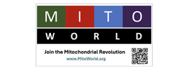 MitoWorld / Mitochondria World