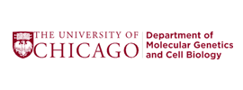 University of Chicago - Department of Molecular Genetics and Cell Biology (MGCB)