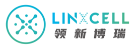 Beijing LinXCell Biotechnologies