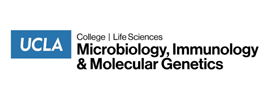 University of California, Los Angeles - Department of Microbiology, Immunology and Molecular Genetics