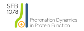 Freie Universität Berlin - Collaborative Research Center (Sonderforschungsbereich, SFB) 1078 - Protonation Dynamics in Protein Function