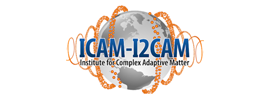 ICAM-I2CAM Institute for Complex Adaptive Matter