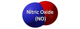 Nitric Oxide Society