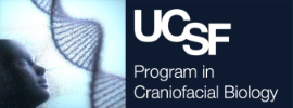 University of California, San Francisco - Program in Craniofacial Biology (PCB)