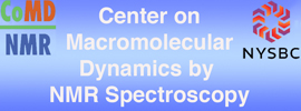 New York Structural Biology Center - Center on Macromolecular Dynamics by NMR Spectroscopy (CoMD/NMR)